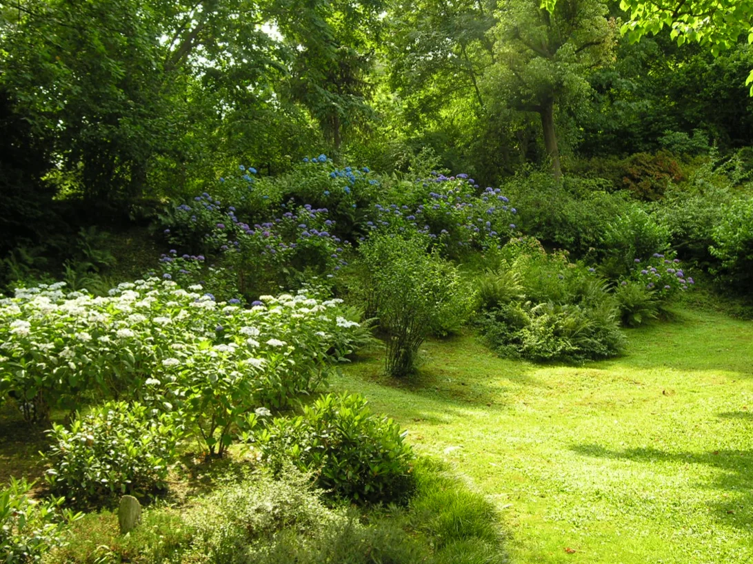censimenti botanici - giardino